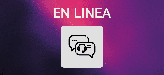 Soporte técnico online